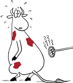 how-now-brand-cow-150 how-now-brand-cow-150
