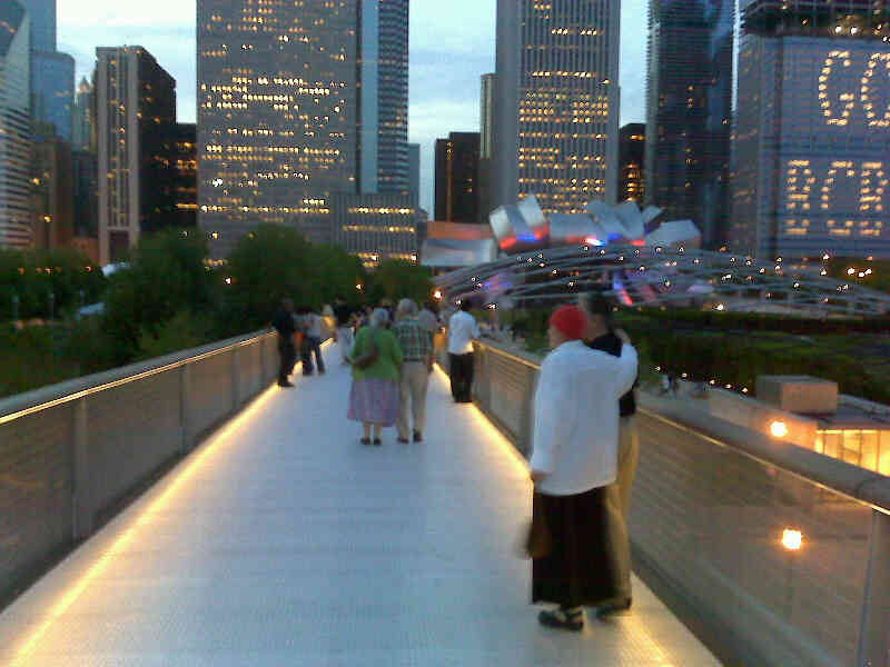 The stunning Nichols Bridgeway, a 620-foot-long pedestrian walkway between the Modern Wing and Millennium Park, gives the impression of floating through treetops and buildings.  