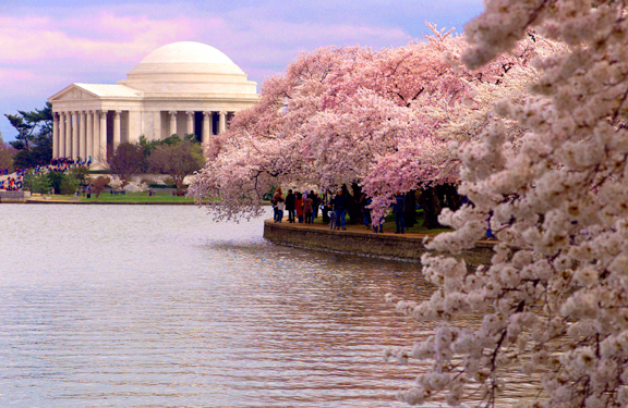 Washington, D.C., office vacancies shrank by 715,384 SF during the fourth quarter of 2009.