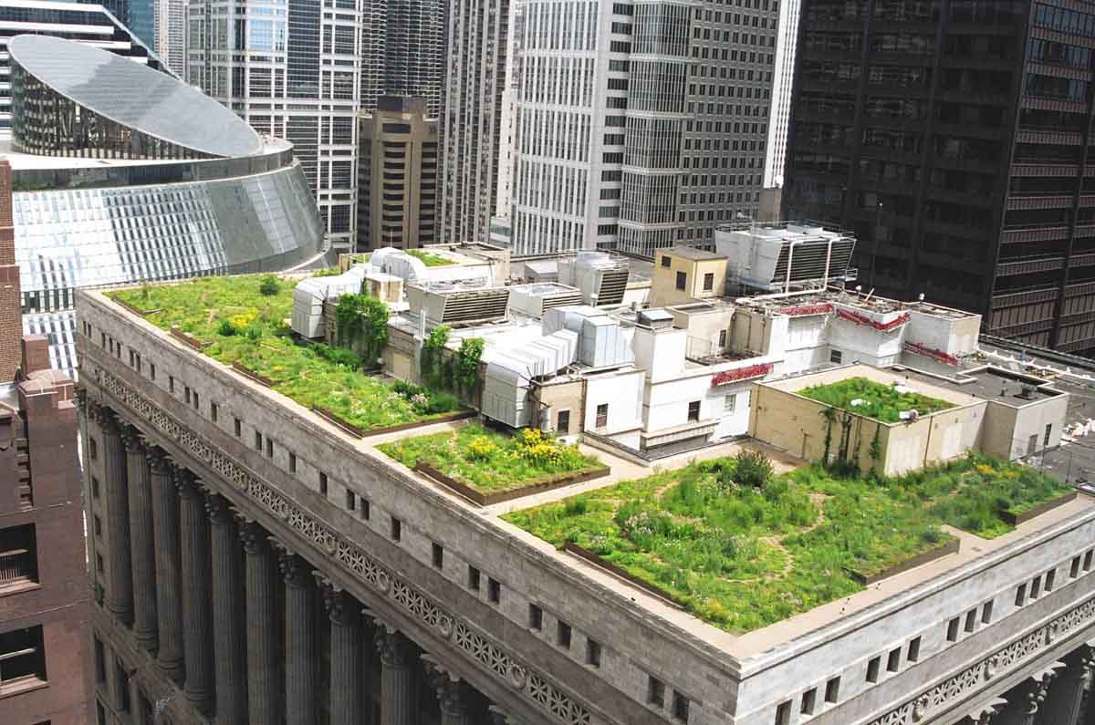 The City of Chicago has more than 500 green roofs, totaling seven million SF.  