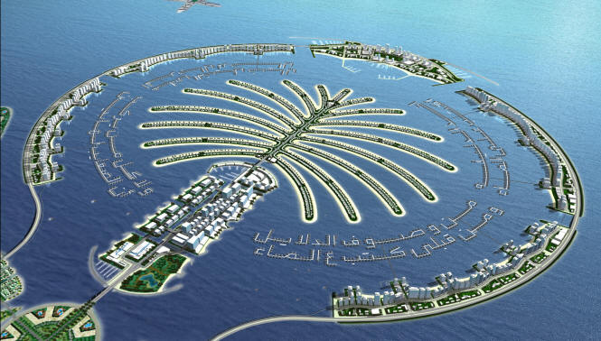 Palm Trees Dubai