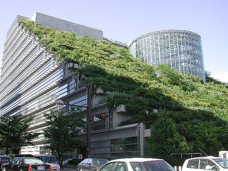 The “CRE Solution” could create green jobs while averting commercial building foreclosures.  